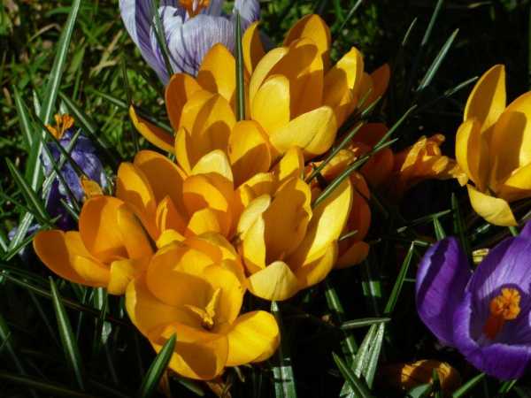 Close-up Close-up